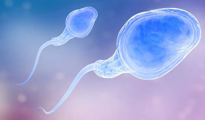 Spermatozoidlar erkakning oldingi eyakulyatsiyasida bo'lishi mumkin